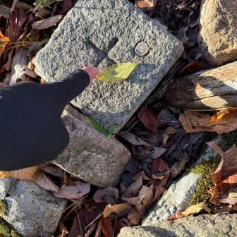 タッチ☝️

そしてこの葉っぱ🌱は分からなかった〜