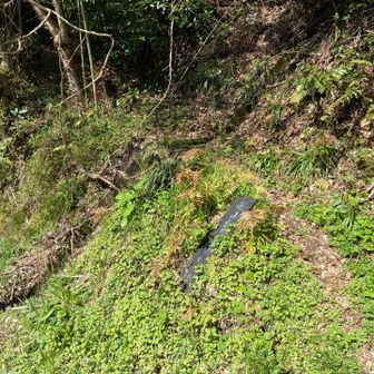 駐車地から道路を少し歩いて若山城東登山口から登る🚶‍♀️