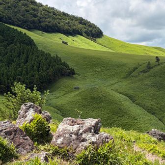 A small part of the grasslands of Aso-Kuju National Park 