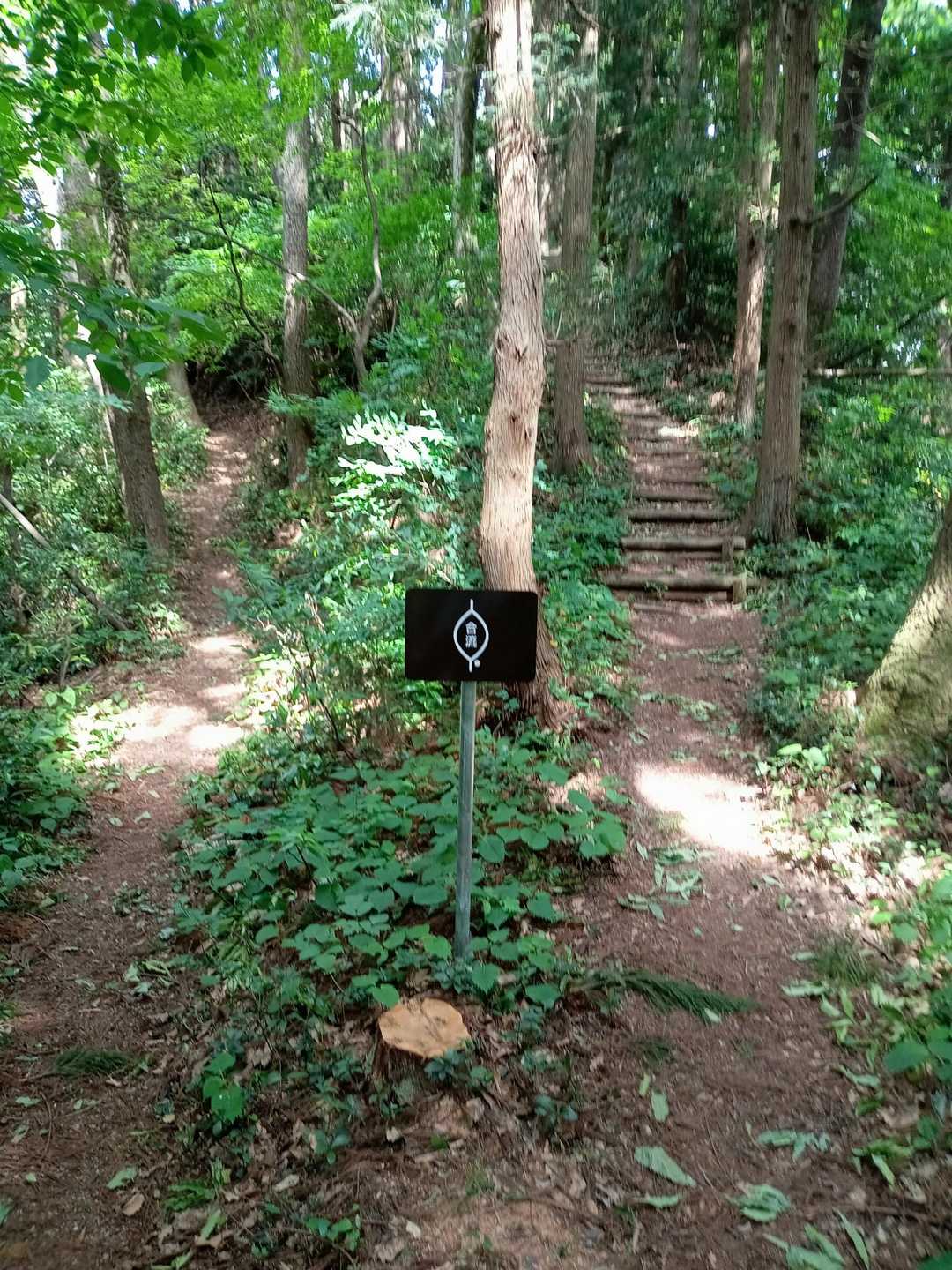 菩提寺山 往復コースの写真