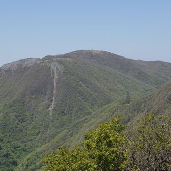 藤原岳最高点の天狗岩はあちら。