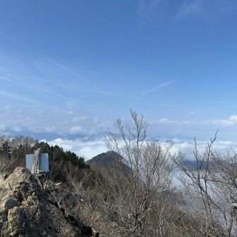 富士山や丹沢、雲取山、甲武信ヶ岳、八ヶ岳なども見えるようですが、今日はそれぞれの山頂に雲がかかっていて同定できず。