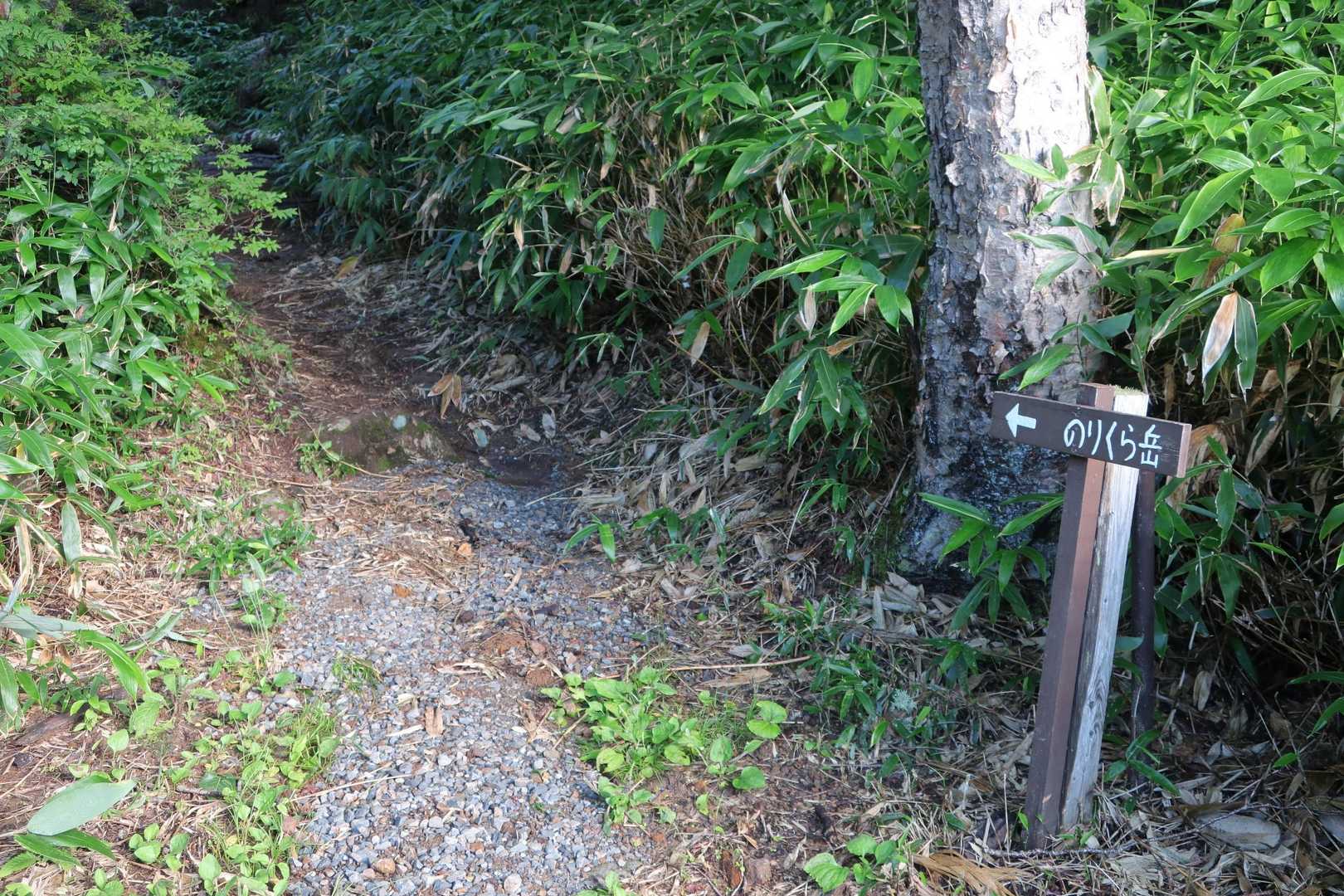 舗装路を少し歩いたらまた登山道に入ります。何故ひらがな？😆