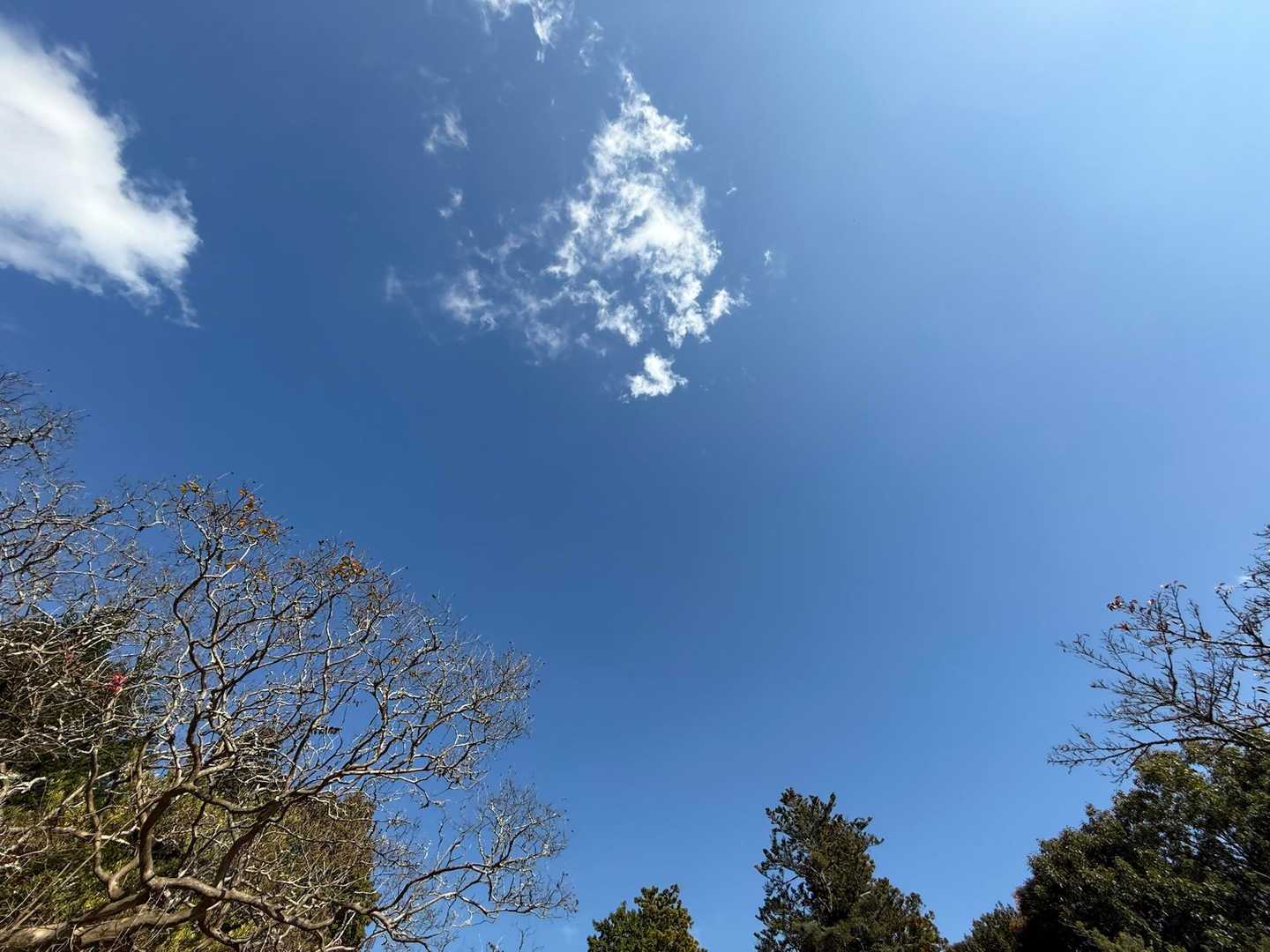 久々に週末晴れました☀️

おかげさまで、気持ちいい山歩きでした🌿✨