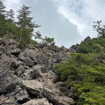仙水峠の溶岩のたまった所