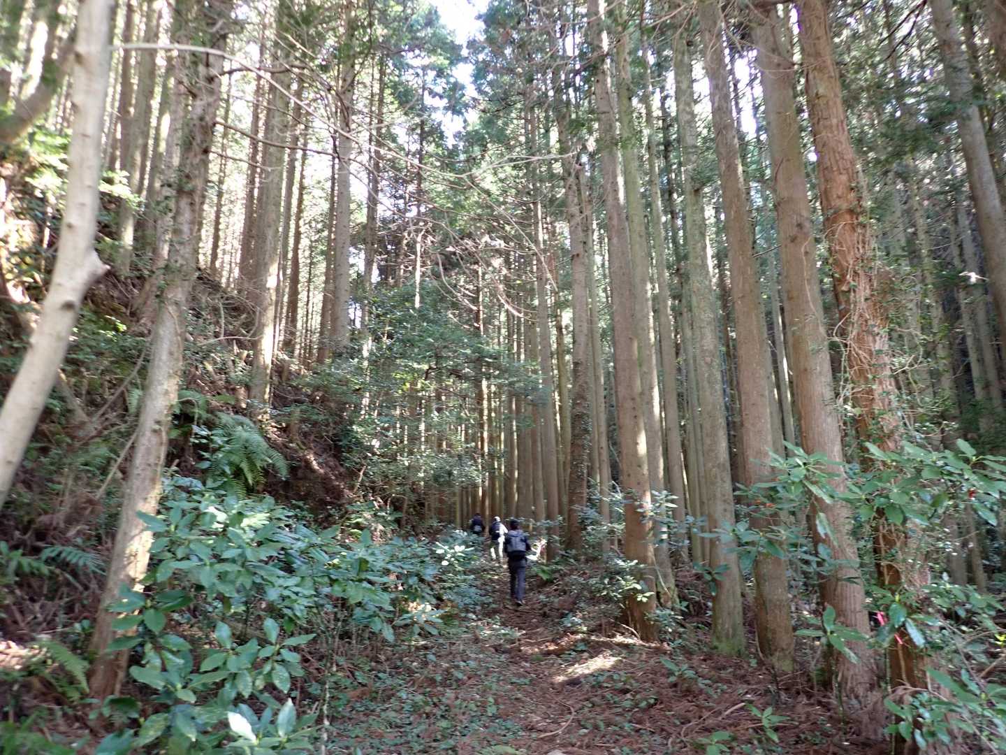 足元が悪く歩きにくい