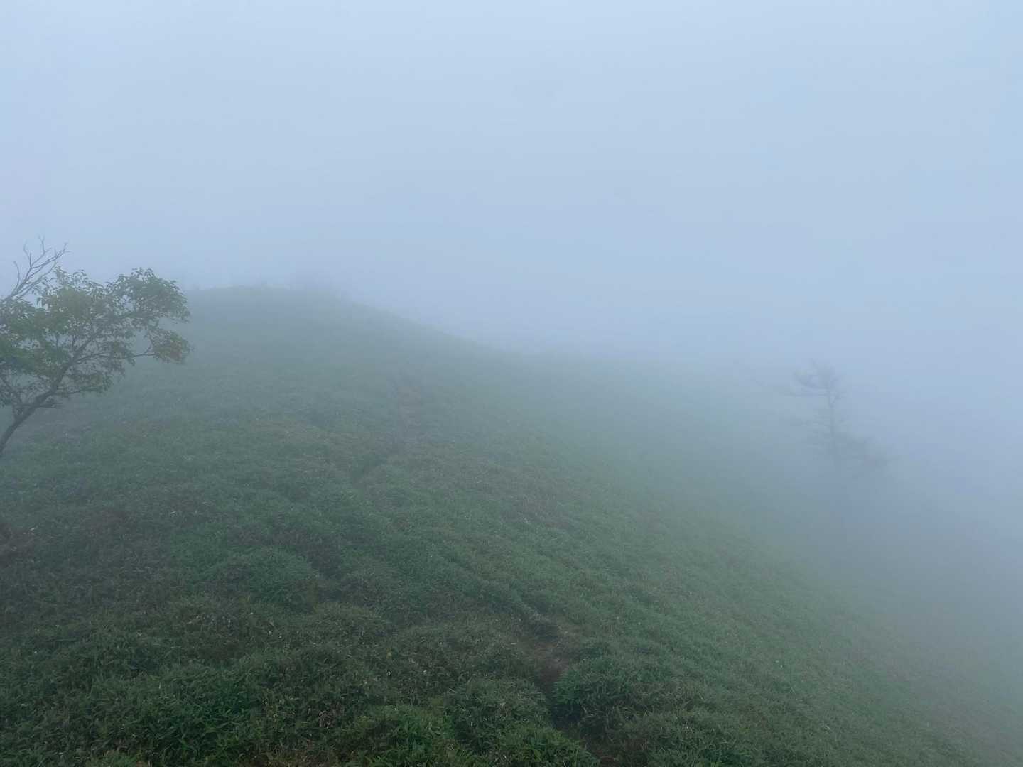 矢筈山