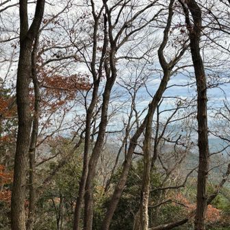 木々の間から微かに東京方面が望まれました。