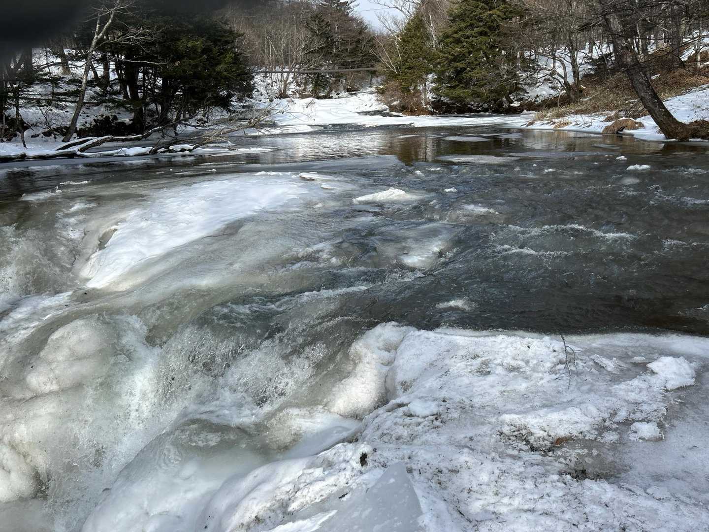 湯川