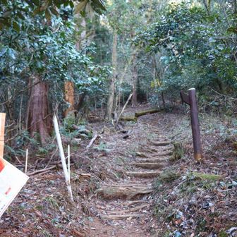 登りが続きます。