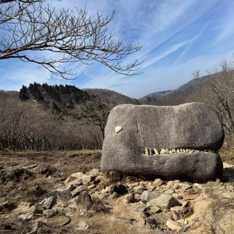 ハンバーグ岩なのね
いや、GODZILLAでしょっ！