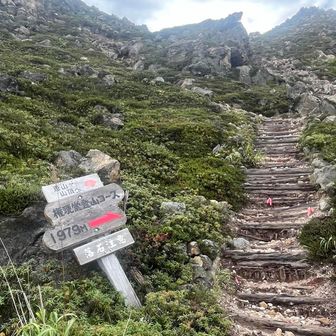 二つ目の分岐
ここから階段を登っていきます