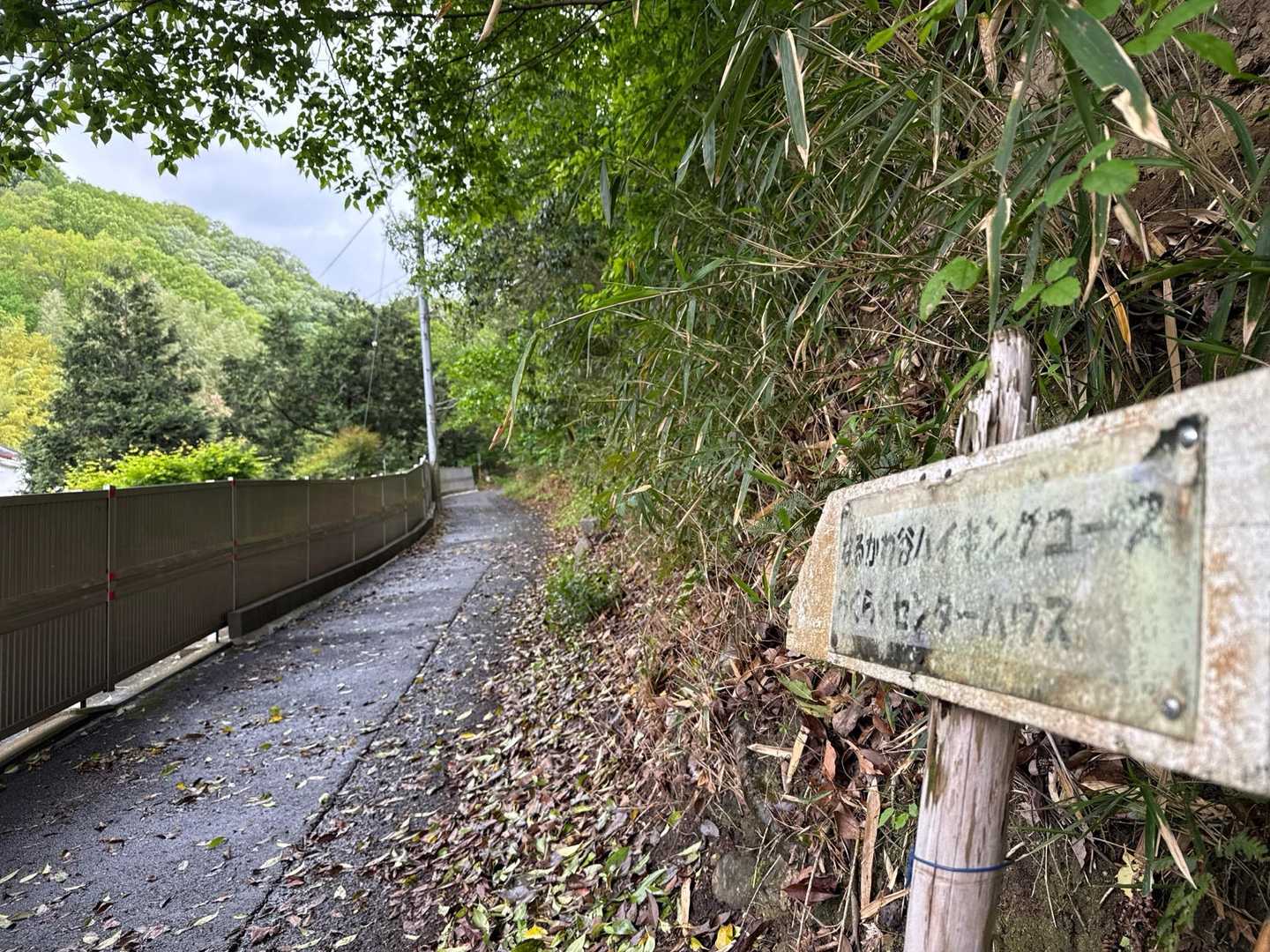 瓢箪駅からスタート
住宅地を抜けてハイキングコースに🥾