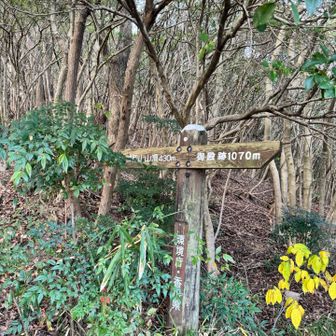 神社横からスタート