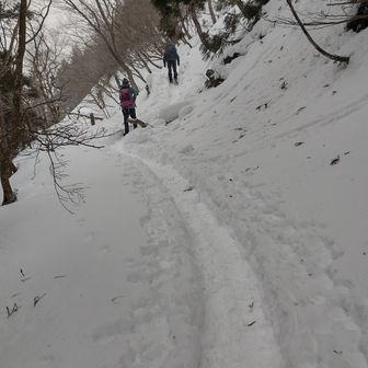 整備され具合すごい…