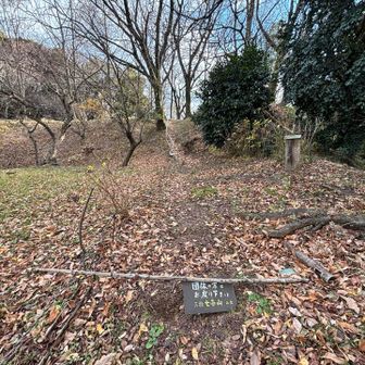 山頂の手前で通せんぼ・・・
こちらはYAMAP地図上のフィールドメモでも確認していましたが、良く良く見ると・・・