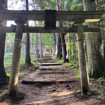 神社参道を進みます
真ん中は苔が滑る