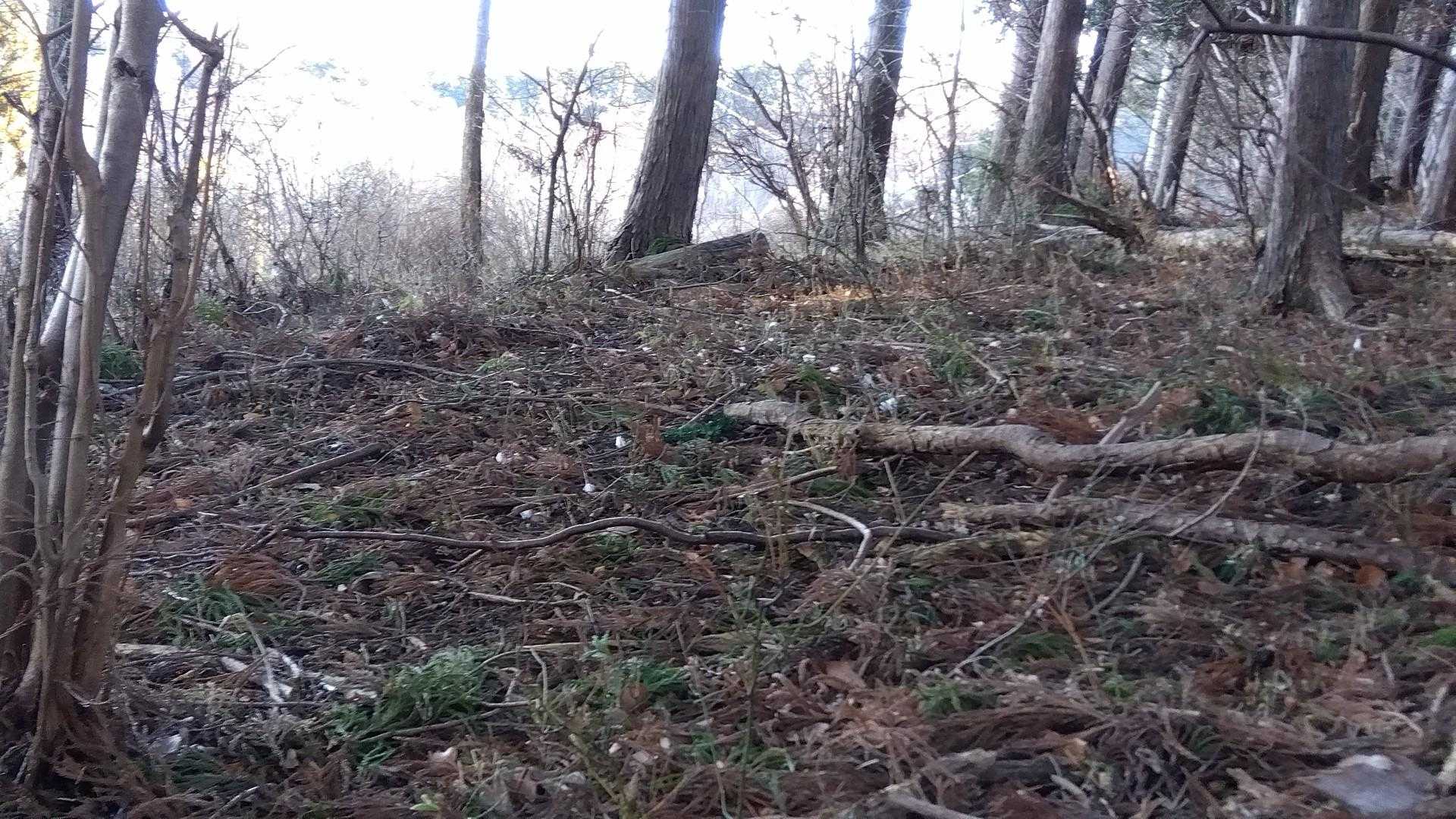 氷華分かるかな～?