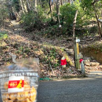 もう一度登れそう！
バナナチップスでエネルギーチャージ🍌