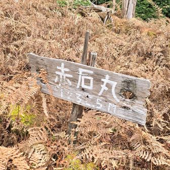 おつかれ山～⛰️