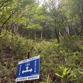 大黒岩へ行ってみます