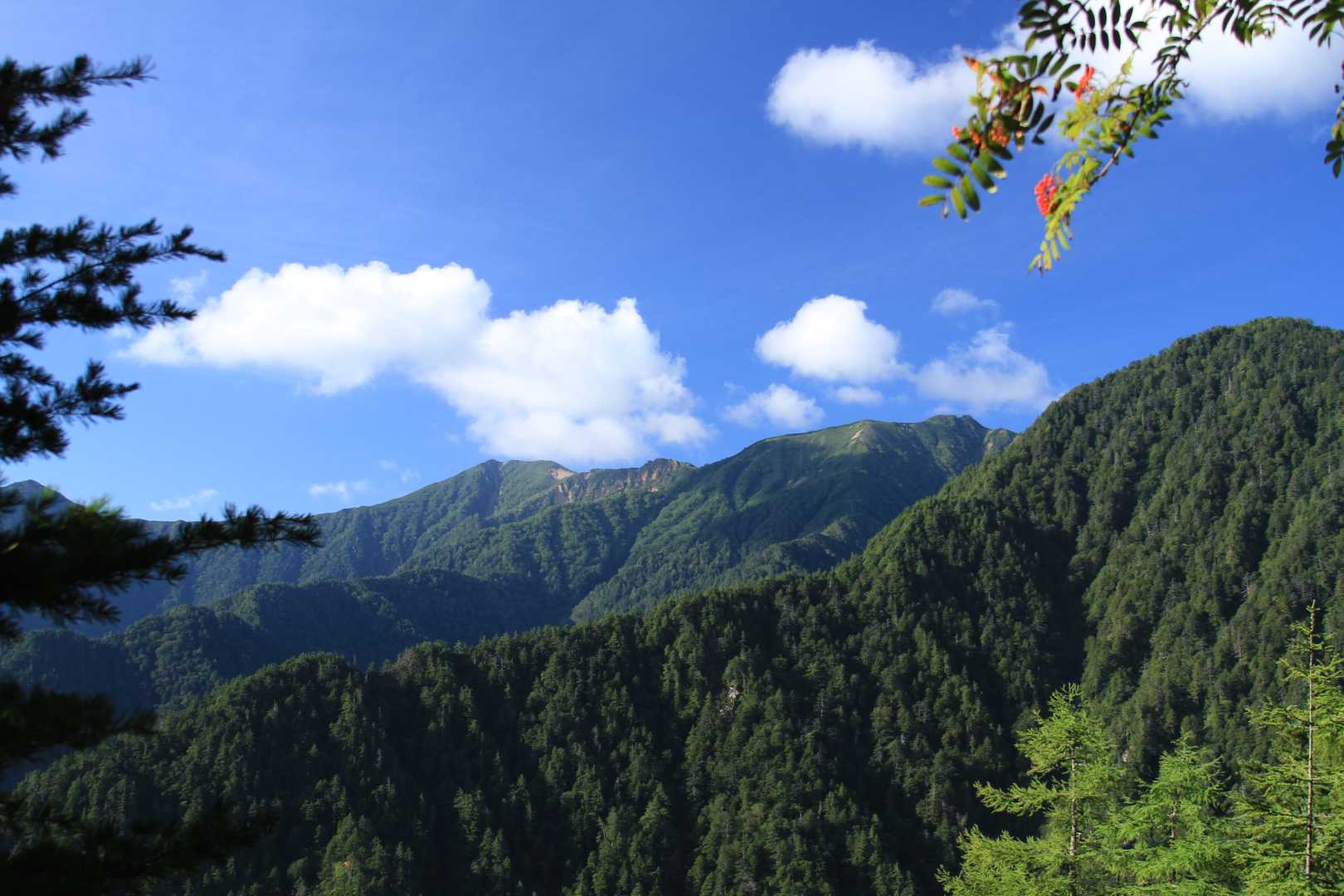 この時は天気，眺望サイコーでした