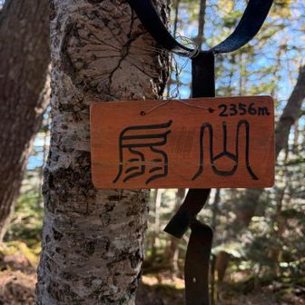 続いて扇山に到着✌️

ここから一度大きく下ります😅
