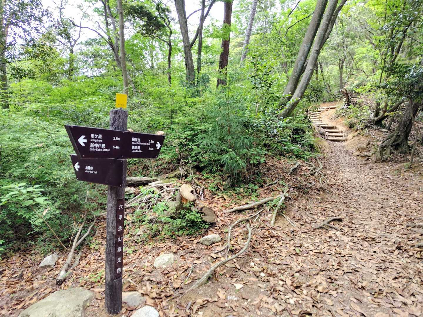 地蔵谷も行きたいし‼️😅