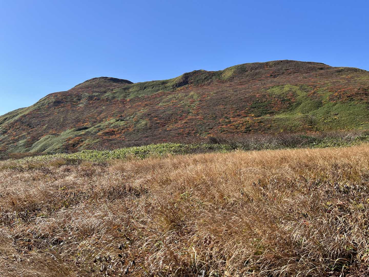 つぶ沼登山口-焼石岳 往復コースの写真