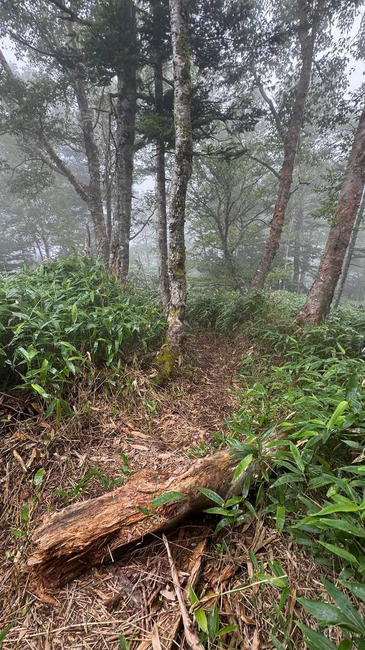 皇海山（鋸山周回）、日帰り最難関 の写真 34