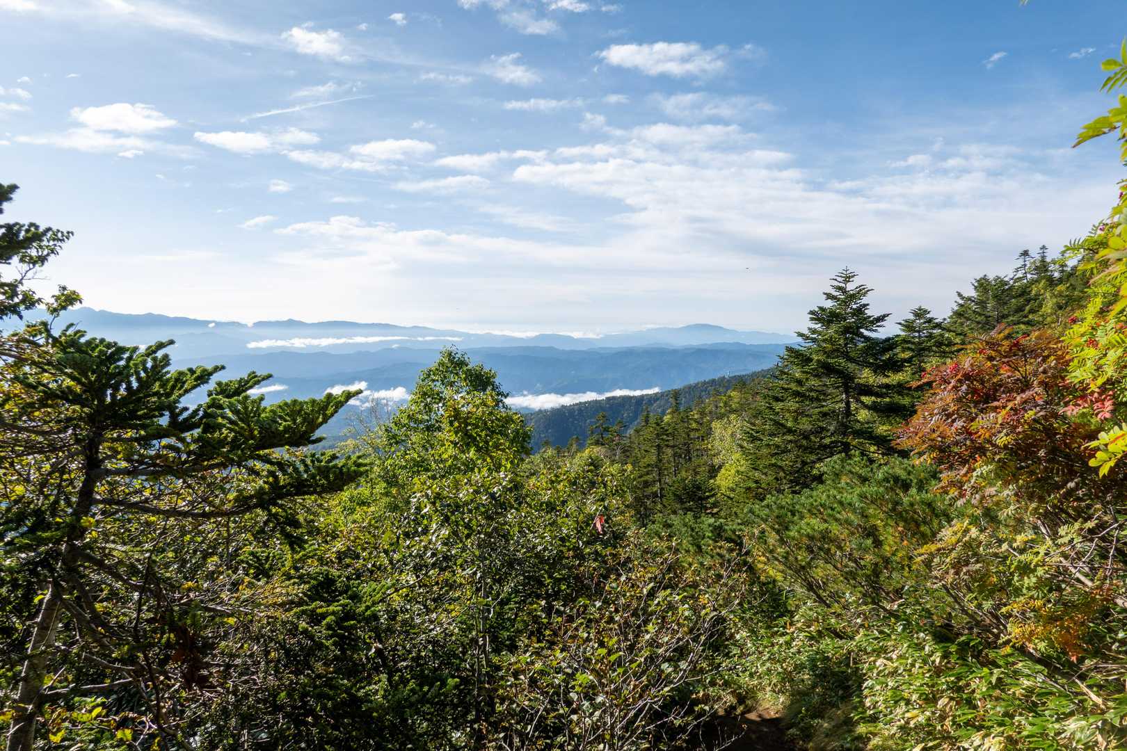 開けた所で、中央アルプスとか、右に見えてるのは恵那山？