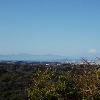 勝上嶽(しょうじょうけん)付近からはカスミ気味ながら富士山から箱根の山々が望めました。
