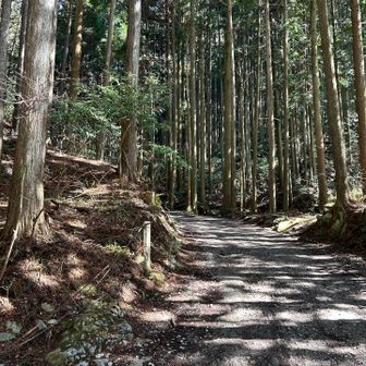 スケール感ある登山口好きだなぁ