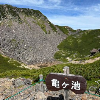 池の水はほとんど無かった