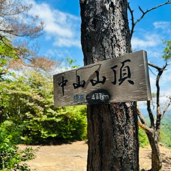 山頂🙌
