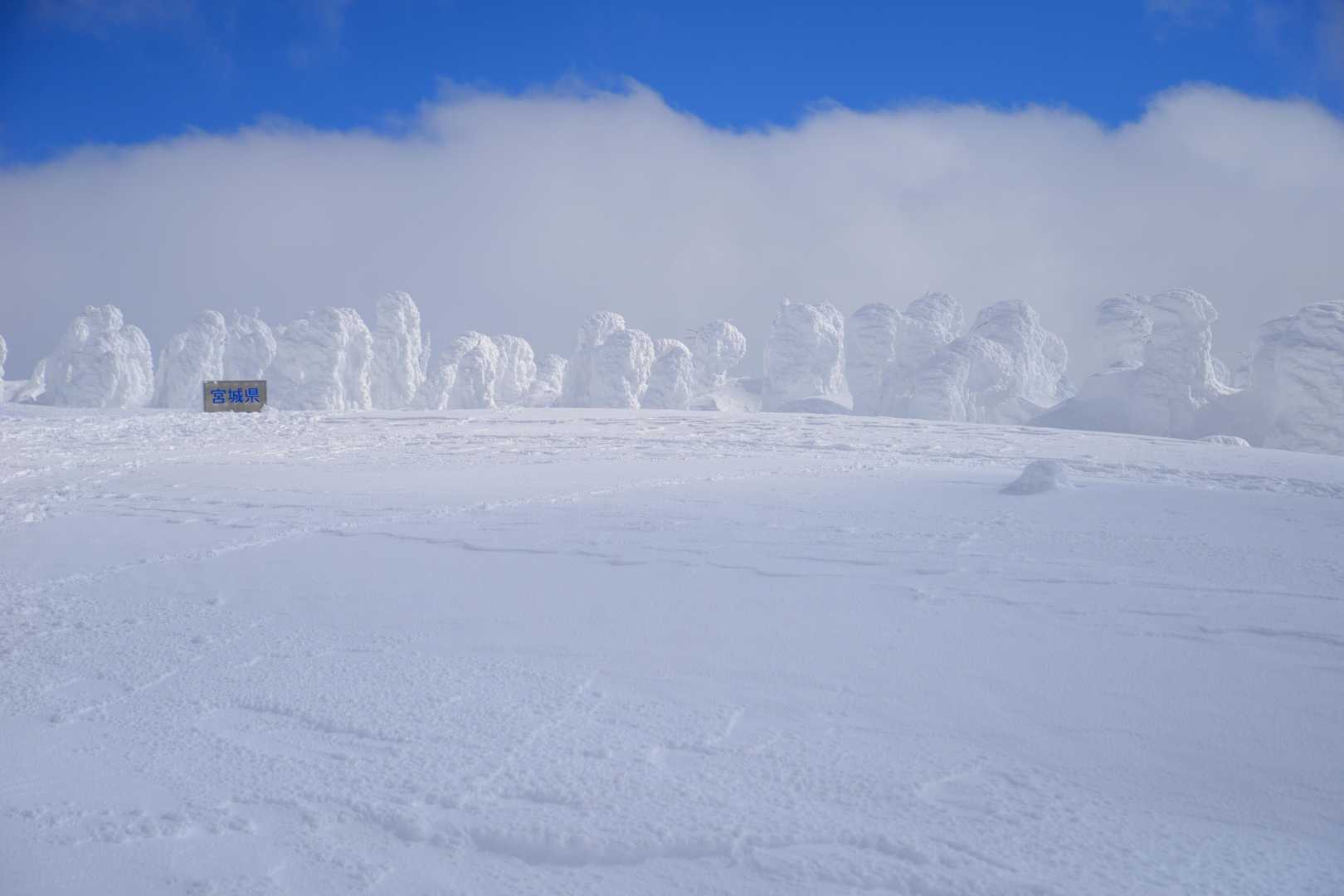 蔵王ライザワールド-仙人沢コース登山口-刈田岳 往復コースの写真