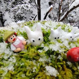 妻戸尾根の八枚沢登山口
雪がてんこ盛りでした♪