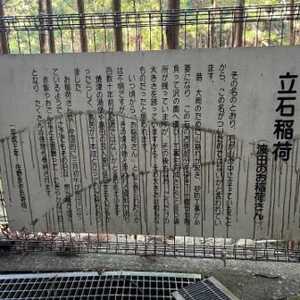 下山してから

朱色の鳥居があったので