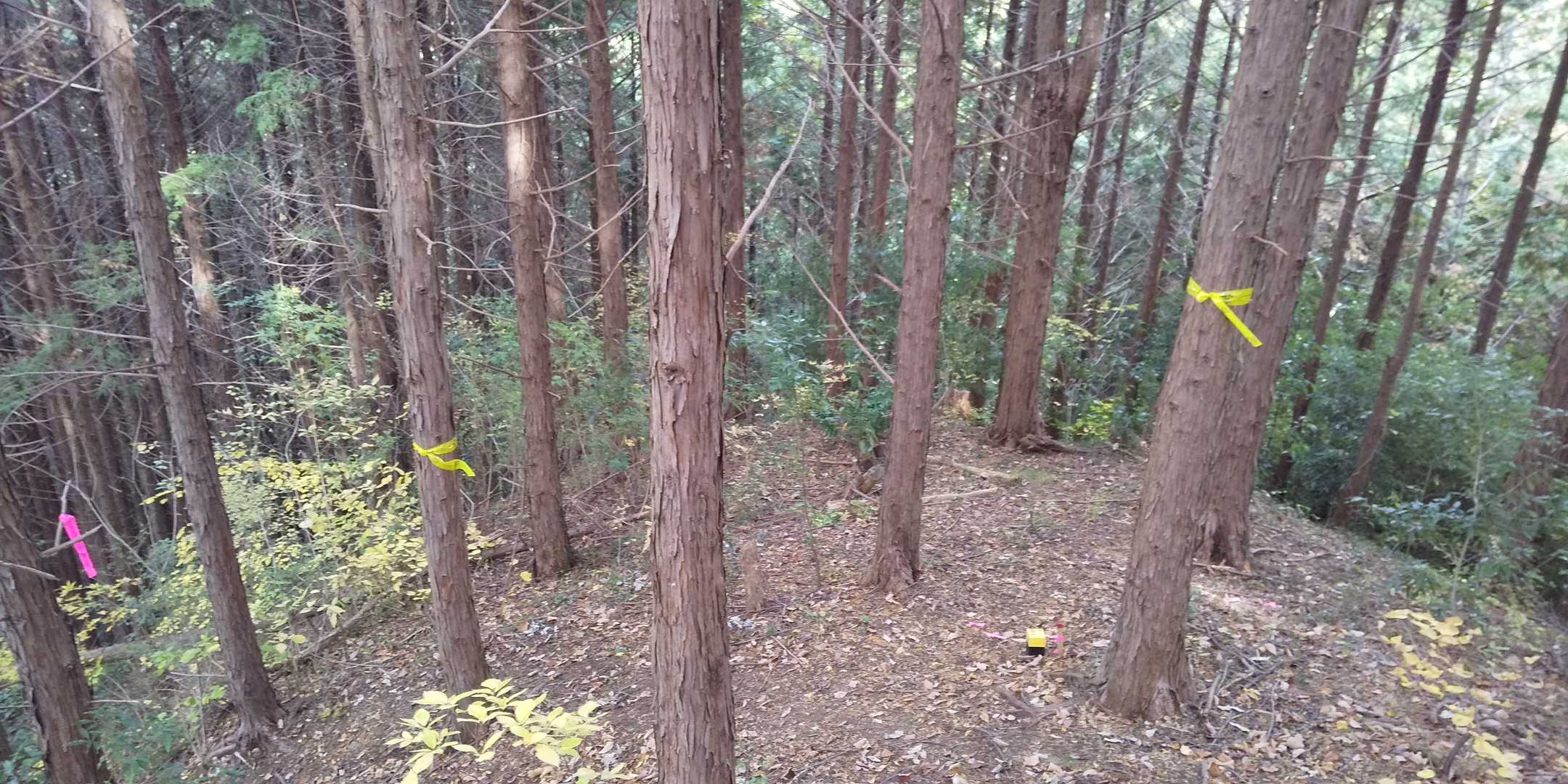 目印のリボン