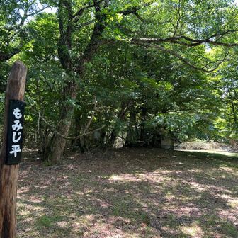 もみじ🍁秋にも来てみよう