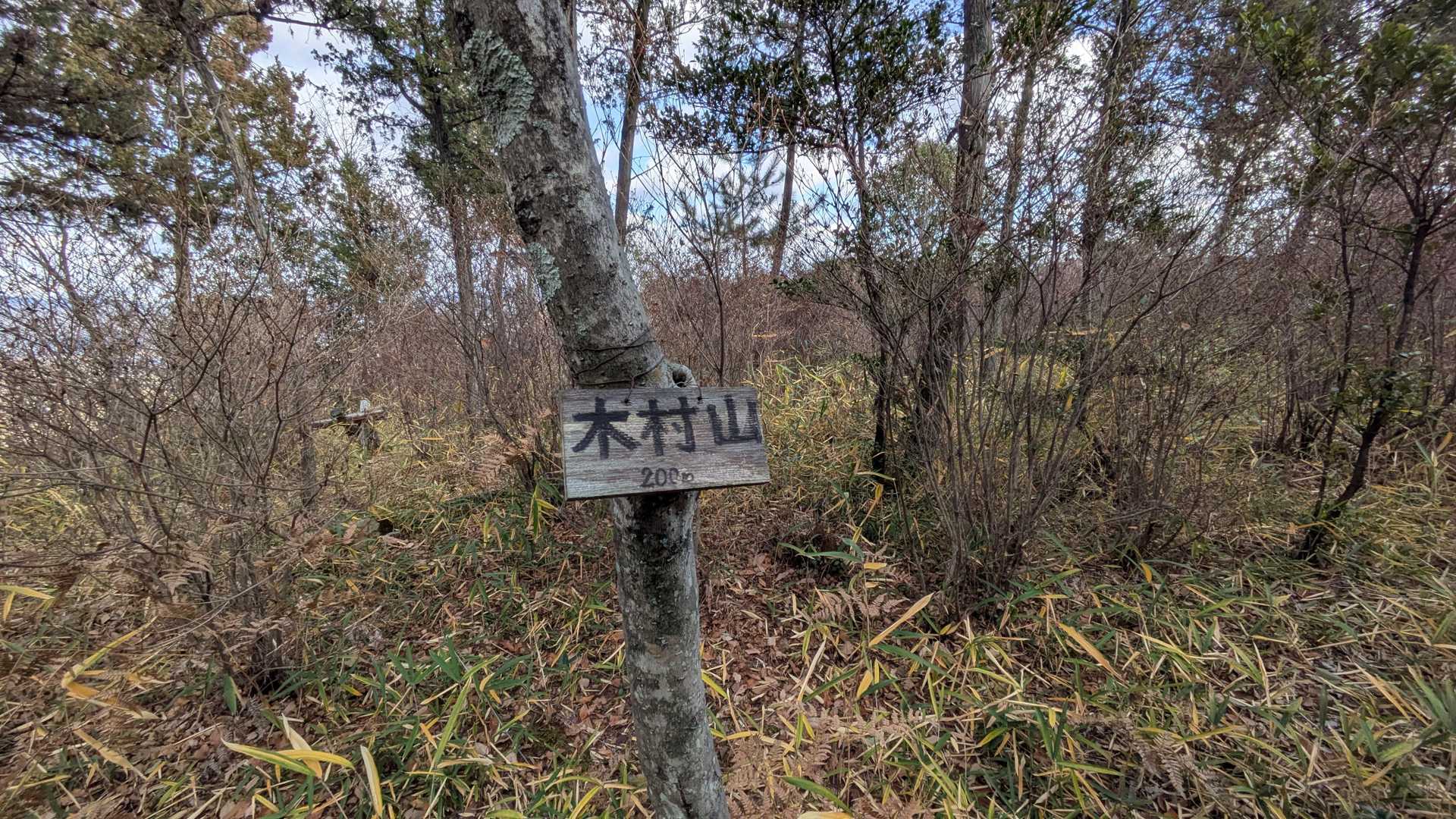 伊與部山-木村山-朝間薬師堂 往復コースの写真