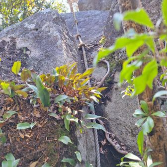 ロープ　三っ岩　登り着いた