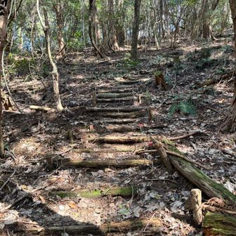 丸太階段を登るとそこは耳納山だった。