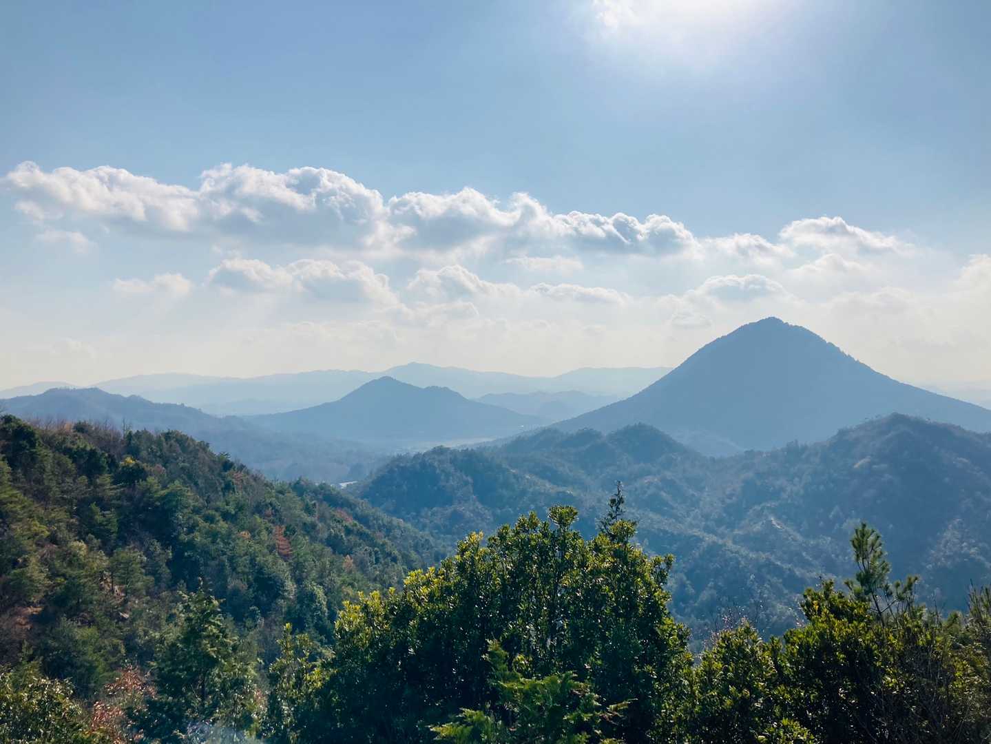 三上山（近江富士）が神々しい。