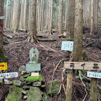 ヲイ峠まで戻りました
「こっちは第2」の方から下ってきた
あとは来た道を戻ります