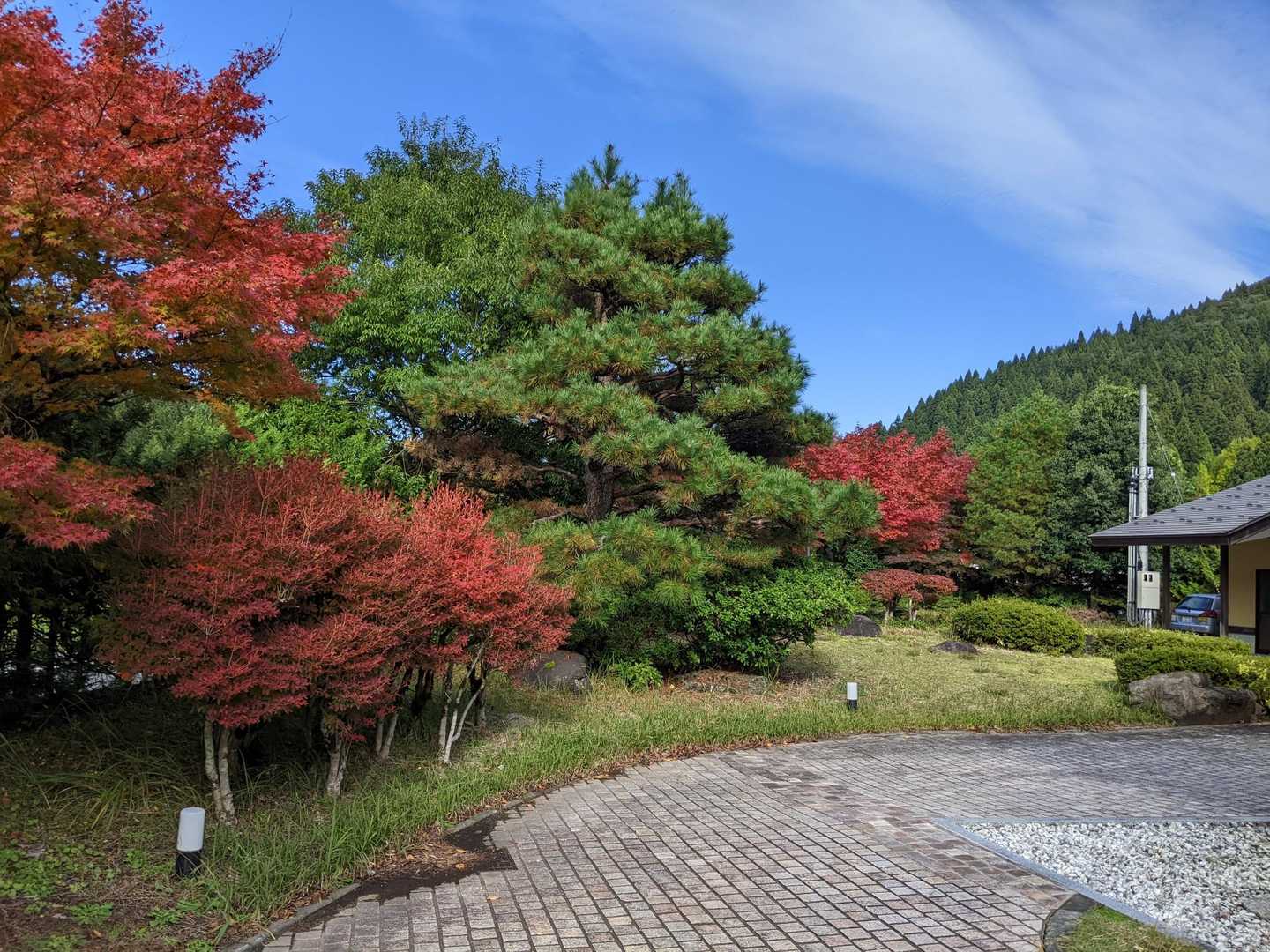 一乗城山登り口-一乗城山 周回コースの写真