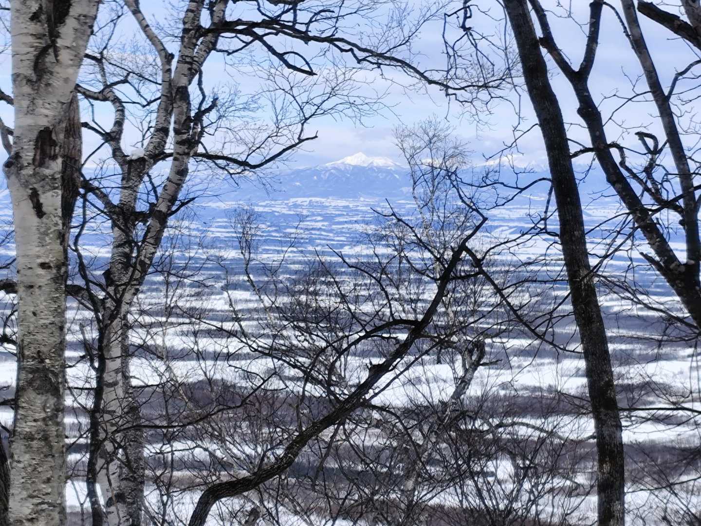 隙間からニペソツ山