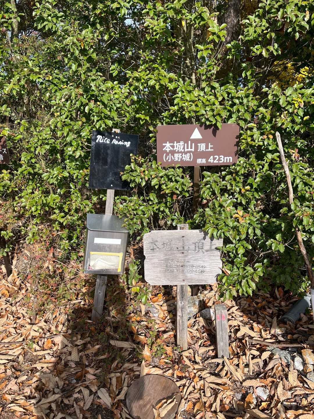 本城山 往復コースの写真
