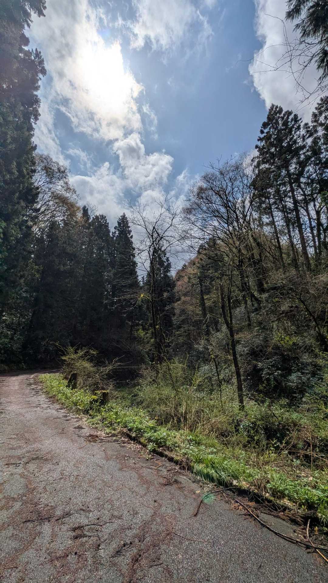 下山したら、すっかり青空🥰