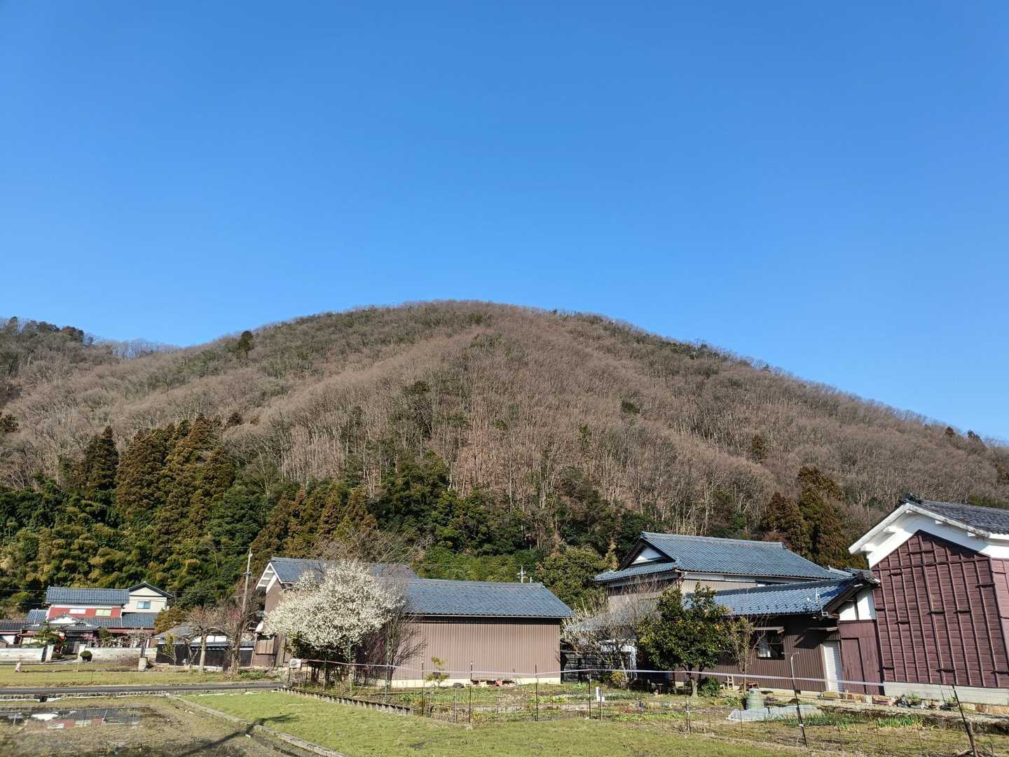 あれが山頂のようです